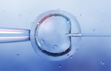 В Великобритании родились первые дети с ДНК трех человек