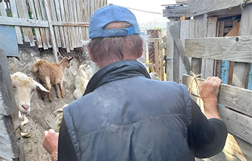 «Не станет никогда белорусский шляхтич перед свиньями бисер метать»