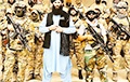 СМИ: «Талибан» объявил войну Ирану