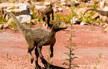 Найден «один из последних динозавров»