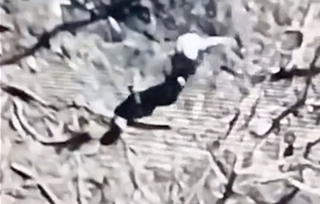 Videofact: Russian Occupier Runs Full Speed After Mine Explosion And Near Tree Falling
