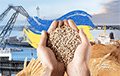 90% всей украинской агропродукции экспортируется по Черному морю