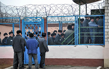 Магілёўская пракуратура прызнала парушэнні правоў асуджаных на прымусовых працах