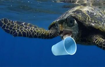 Немецкие ученые просят прислать им по почте мусор с пляжа