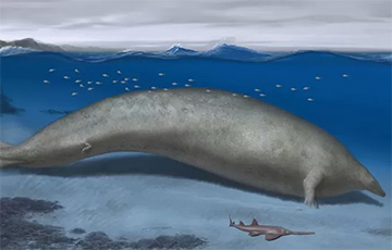 Ученые нашли кандидата в самые тяжелые животные в истории Земли