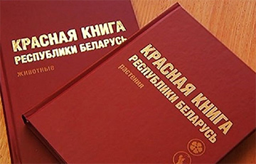 Из очередного издания белорусской Красной книги могут исключить около 40 видов