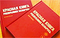Чырвоная кніга Беларусі папоўнілася новымі відамі