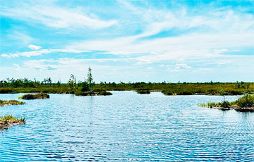 Вдали от городской суеты: где в Беларуси самые живописные экологические тропы