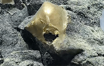 У подводного вулкана Аляски найдено загадочное золотое яйцо