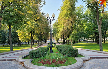 Каштаны снова зацвели в Минске в середине сентября