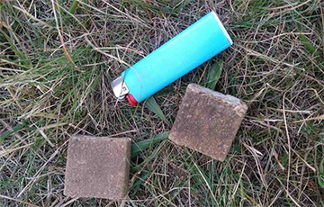 Вакцину от бешенства разбросают с самолетов в четырех областях Беларуси