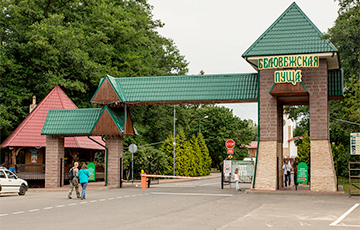 У нацыянальным парку «Белавежская пушча» надумалі зрабіць рэбрэндынг