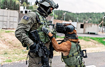 Israeli Tasks Dog Nicknamed ‘Charlie’ Captured Top Hamas Operative ...