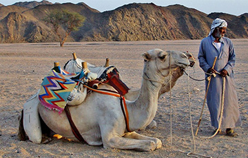 Bedouin Tracker In Israel Deceives Terrorists And Helps Rescue Military Wives And Children