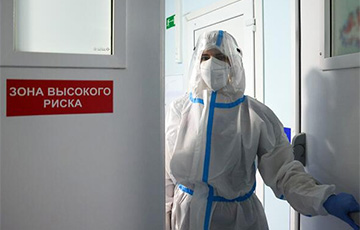 С начала года в Беларуси зафиксировали девять случаев туляремии