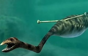 Ученые наконец-то разгадали тайну «ящера Талли»