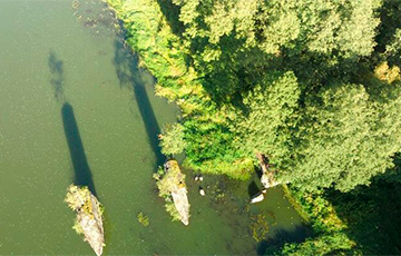 Пять бюджетных вариантов путешествий по Беларуси