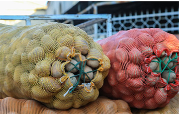 В Грузию не пропустили грузовик с картошкой из Беларуси