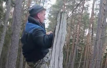 В Беловежской пуще сельчанин забрался в охотничий вольер