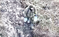 Видеофакт: российский солдат тщетно пытается донести воду на свои позиции