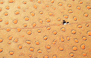 Ученые объяснили причину появления загадочных кругов фей