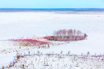 Экспедиция на болото Ельня закончилось сенсационным открытием