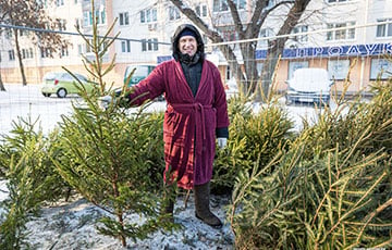 В Минске открываются елочные базары