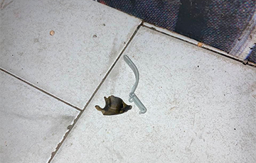 Training Grenade Thrown Into Bar Hosting Russian Journalists' Party In Riga