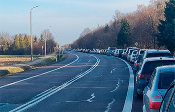 ‘Hold The Caravan! Crocodile Cars Are Coming Out Of Forest’