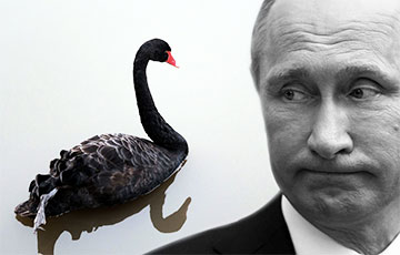 К Путину прилетел «черный лебедь»