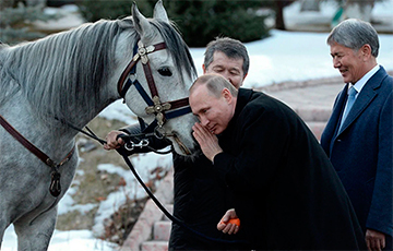СМИ: Умер любимый жеребец Путина