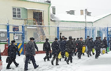 Второго за два месяца россиянина отправили в колонию за призыв повесить Путина