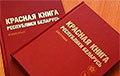 Из очередного издания белорусской Красной книги могут исключить около 40 видов