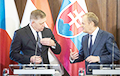Туск метко ответил пророссийскому премьеру Словакии Фицо
