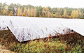 В Беларуси продают солнечную электростанцию