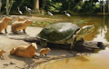 Ученые обнаружили древнюю черепаху