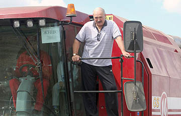 Лукашенко просчитался с комбайнами