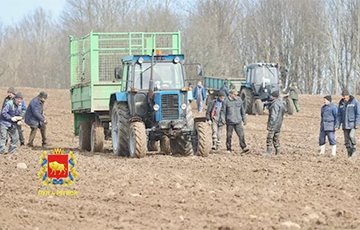 Students, Military Personnel Driven To Fields To Collect Stones In Ashmiany District