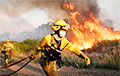 В Греции объявлен высокий уровень пожарной опасности