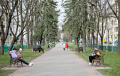 «Это зеленый рай почти в центре Минска»