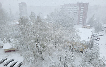 У Беларусі зноў выпаў снег