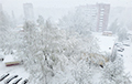 У Беларусі зноў выпаў снег