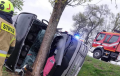 В Польше автобус с белорусами вылетел в кювет и врезался в дерево