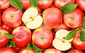 Таможенники задержали почти полторы тысячи тонн польских яблок