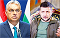 Зеленский провел переговоры с Орбаном