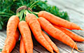 Из Беларуси запретили вывоз моркови и свеклы