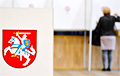 В Литве проходят выборы президента и референдум по множественному гражданству