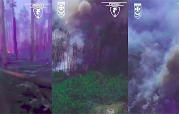 На Луганщине горит Серебрянский лес