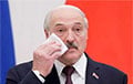 Лукашенко щелкнули по носу