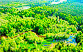 Лишь в трех районах Беларуси можно свободно посещать леса